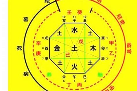 八字五行怎麼看|免費生辰八字五行屬性查詢、算命、分析命盤喜用神、喜忌